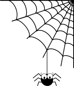 Merel en Tijn en Coco de spin Coco de Spin Merel & Tijn